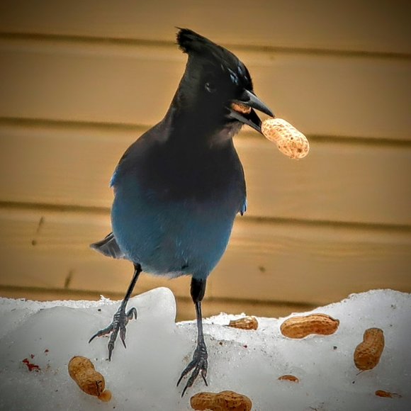 Meet your Posher, Sarah - Picture 5 of 9